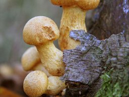 img_7136_20131123_1130377391_20160803_1010518769