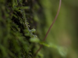 img_9620_20131118_1785242413_20160803_1794773269