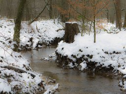 img_1140_20131109_1235256871_20160803_1194102852
