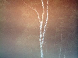 img_5990_20131109_1383092491_20160803_1091291654