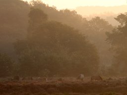 img_6049-1024_20131110_1931306572_20160803_2000749048
