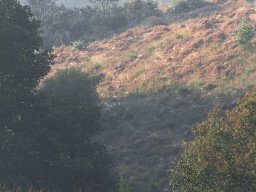 img_6226-1024_20131110_1911139540_20160803_1900116623