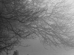 img_2069_20131109_1908725042_20160803_1057784715