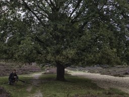 originals &raquo; veluwe_2